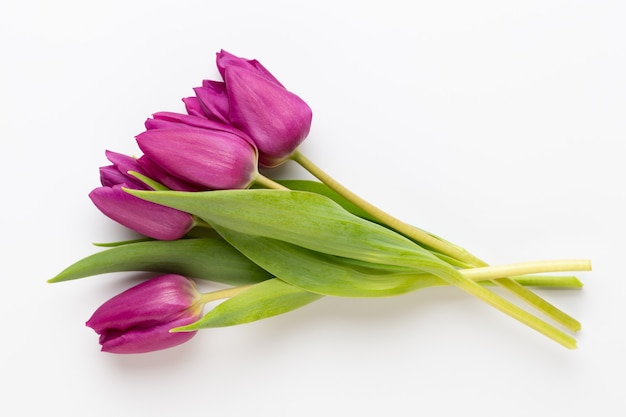 Fleurs de printemps. Tulipes sur surface blanche.