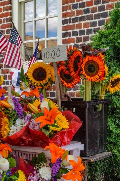 Photo des fleurs qui fleurissent à l'extérieur