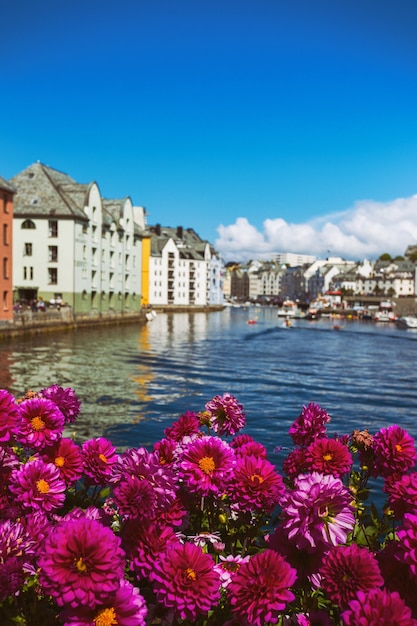 Fleurs qui poussent dans les rues de la célèbre ville norvégienne d'Alesund