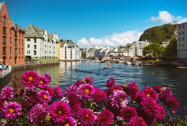 Fleurs qui poussent dans les rues de la célèbre ville norvégienne d'Alesund