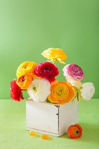 Fleurs de renoncule colorées dans un vase sur fond vert