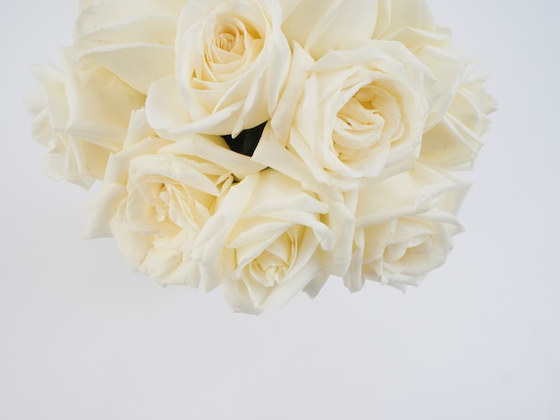 Fleurs roses blanches