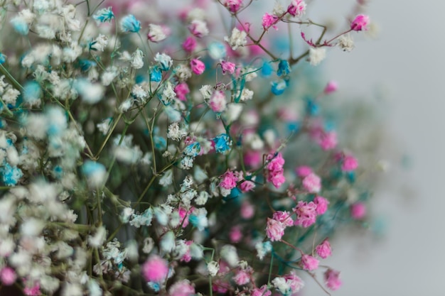 Fleurs roses, bleues, blanches sur fond blanc, bouquet romantique, look festif