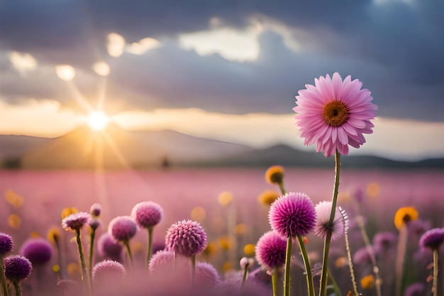 Fleurs roses dans un champ de fleurs violettes