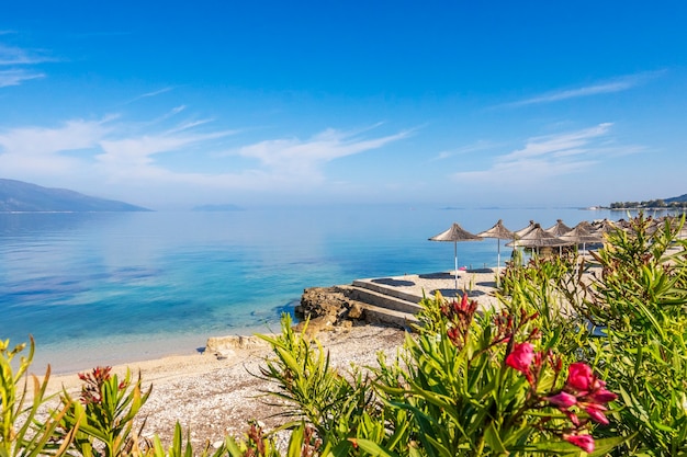 Fleurs roses sur fond de mer bleue