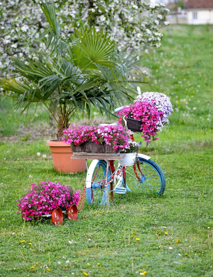 Photo des fleurs roses fraîches sur le champ dans la cour