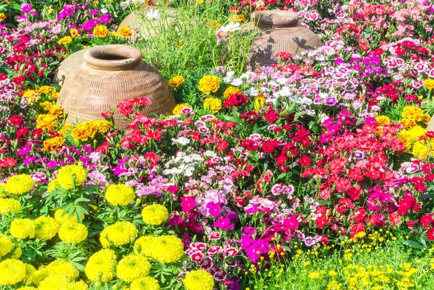 Photo des fleurs roses fraîches dans le jardin