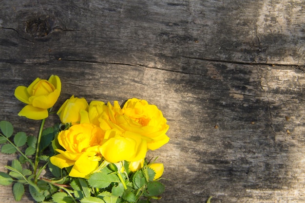 Fleurs roses jaunes sur fond de bois rustique avec espace de copie. Vue de dessus