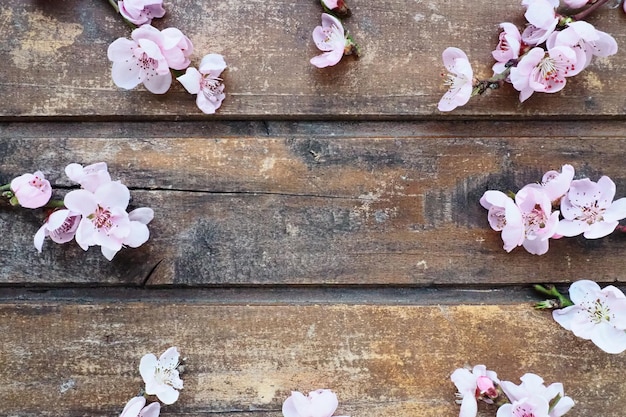 Fleurs roses de pommier ou de pêcher sur des planches de bois Inflorescences délicates disposées en cercle Flou artistique Vacances à thème de printemps spa beauté intérieur de la maison Copier l'espace plat poser Nature morte