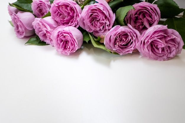 Fleurs roses roses sur fond blanc. Symbole d'élégance, d'affection et de sophistication. Concept d'espace libre