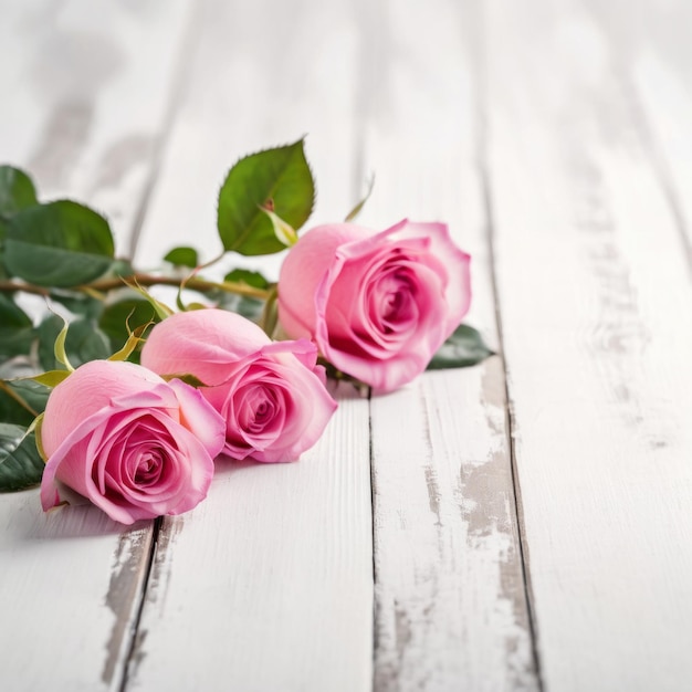 Des fleurs de roses roses sur fond de bois blanc Joyeux jour de la Saint-Valentin avec une carte de vœux romantique