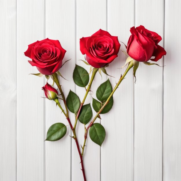 Des fleurs de roses rouges sur un fond de bois blanc Carte de vœux romantique pour la Saint-Valentin