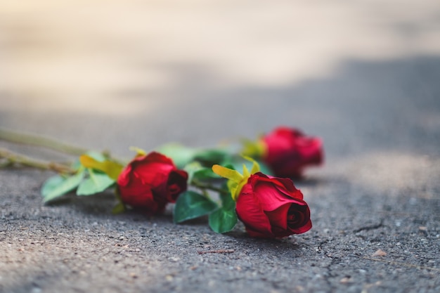 Des fleurs de roses rouges ont été abandonnées sur le sol