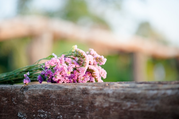 Les fleurs roses sont placées sur de belles bûches.