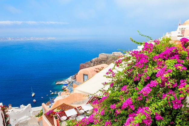 Fleurs roses sur la terrasse avec vue sur la mer. Île de Santorin, Grèce.