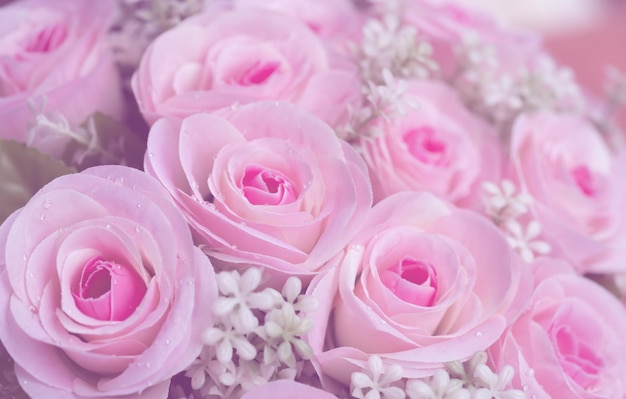 Photo fleurs roses