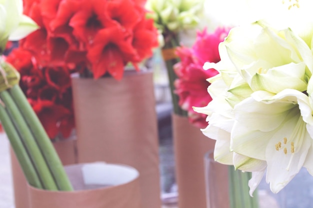 Photo des fleurs rouges et blanches dans des vases