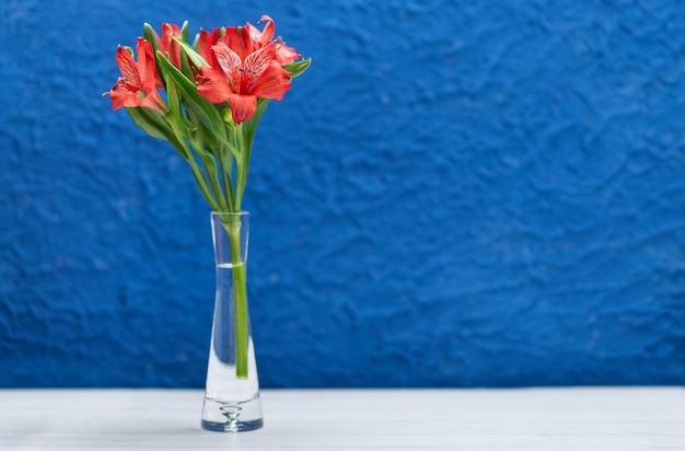 Fleurs rouges sur fond bleu tendance avec texture. Gros plan avec un espace pour le texte.