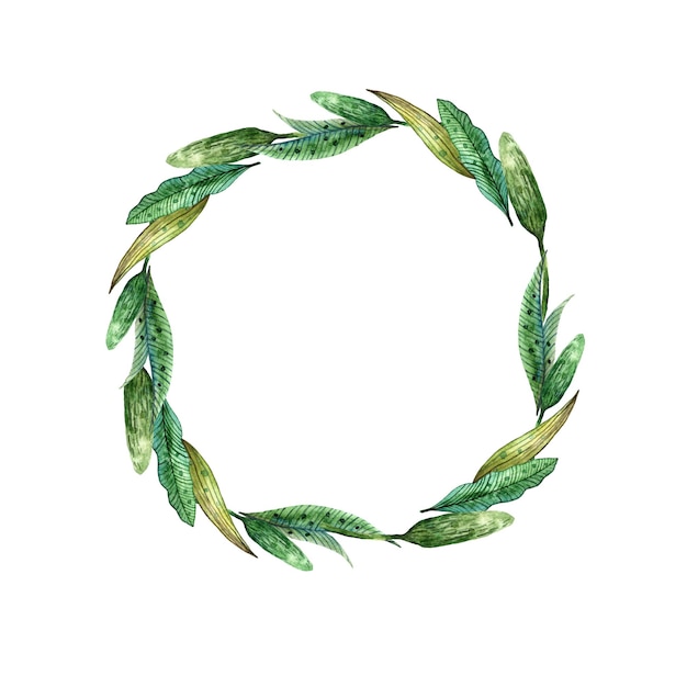 Des fleurs sauvages à l'aquarelle Une couronne ronde de verts juteux d'été
