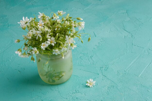 Fleurs sauvages blanches