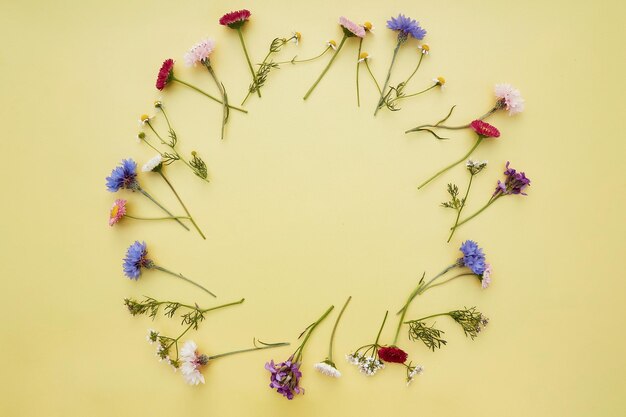 Des fleurs sauvages colorées en cercle sur fond jaune Copier l'espace Invitation à l'anniversaire de mariage