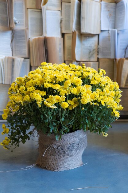 Les fleurs sauvages dans un vase bouquet