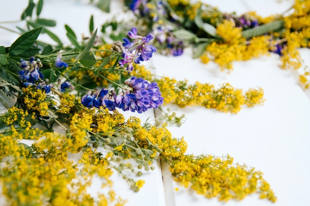 fleurs sauvages et herbes sur woode