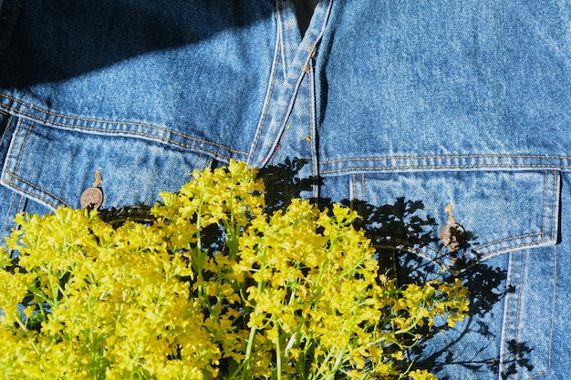 Fleurs sauvages jaunes dans l'ambiance estivale de l'espace de copie de poche de veste en jean