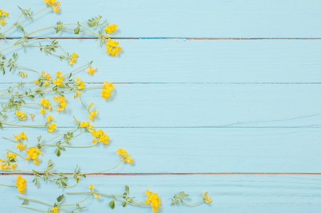fleurs sauvages jaunes sur fond de bois bleu