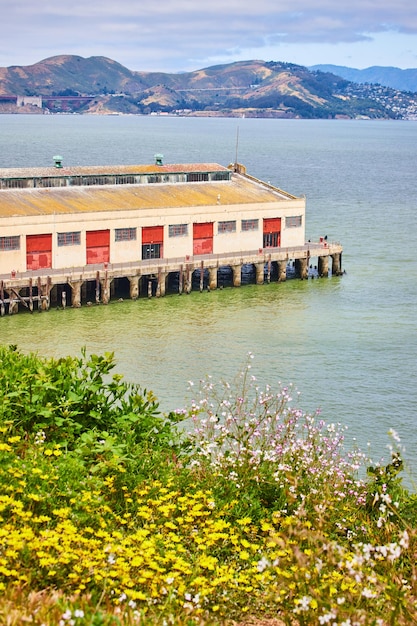 Fleurs sauvages sur le rivage avec vue sur le quai de l'entrepôt sur la baie de San Francisco