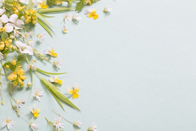 Fleurs sauvages sur table en papier