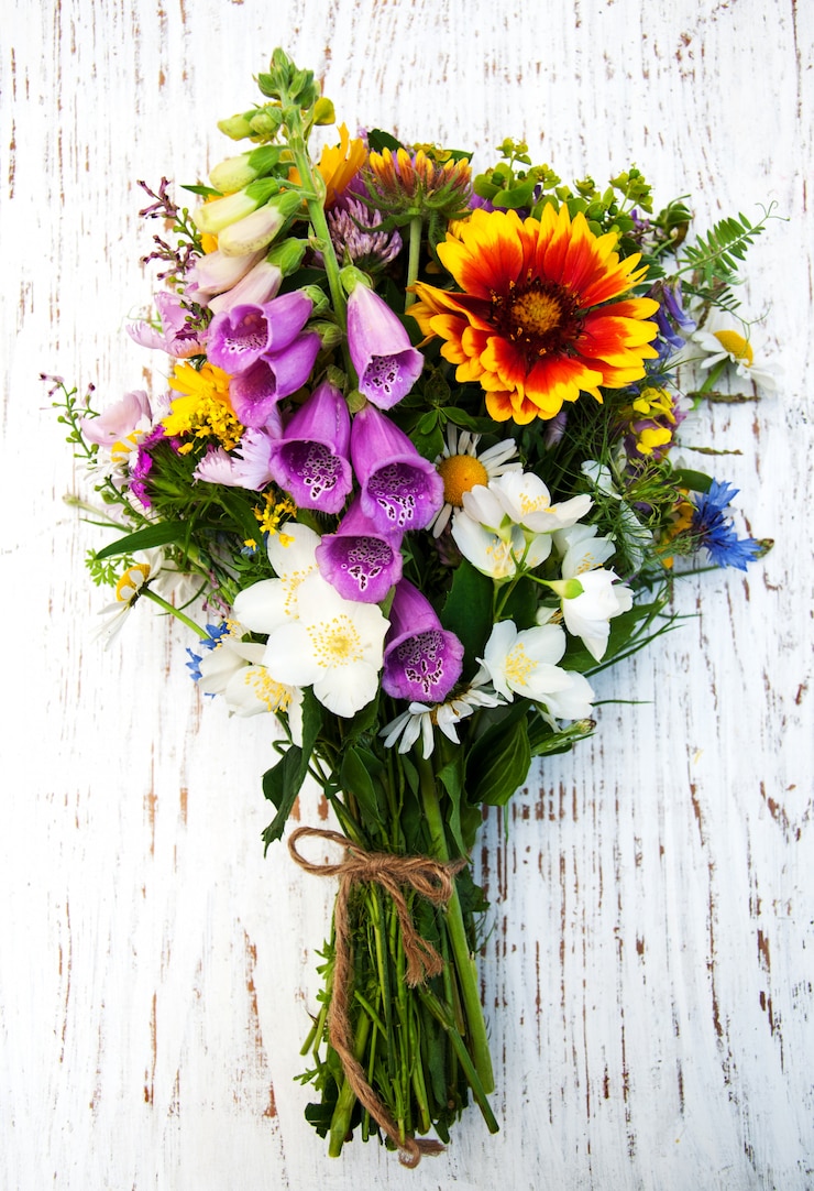 Photo les fleurs sauvages