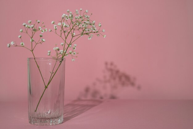 Fleurs séchées blanches sur vase en verre
