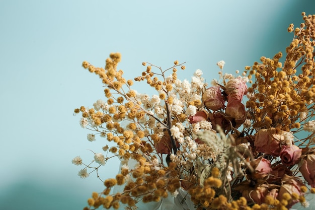 Des fleurs séchées de couleur jaune et rose se tiennent dans une composition sur fond bleu