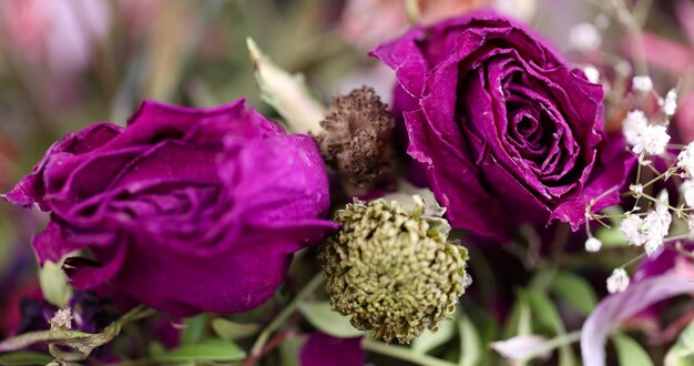 fleurs séchées dans un bouquet différent