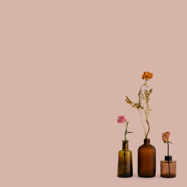 Fleurs séchées dans des vases en verre marron sur fond rose