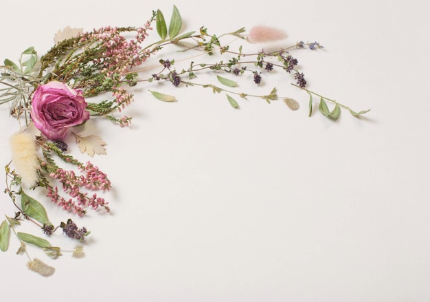 Fleurs séchées sur fond blanc