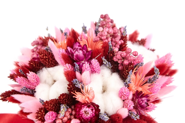 Fleurs séchées et herbes isolées sur fond blanc