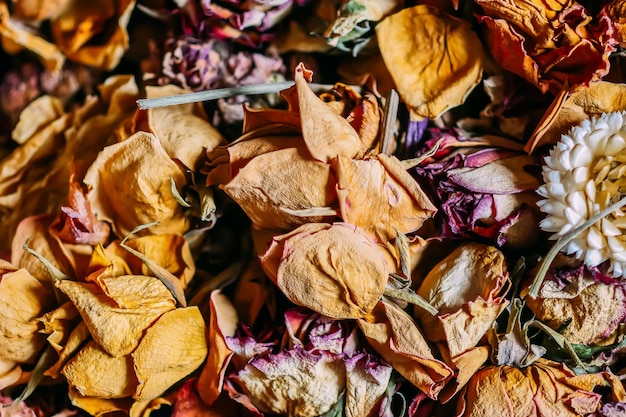 Photo des fleurs séchées de près