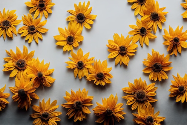 Fleurs soignées et pétales de tournesols pour l'artisanat se trouvant sur fond blanc