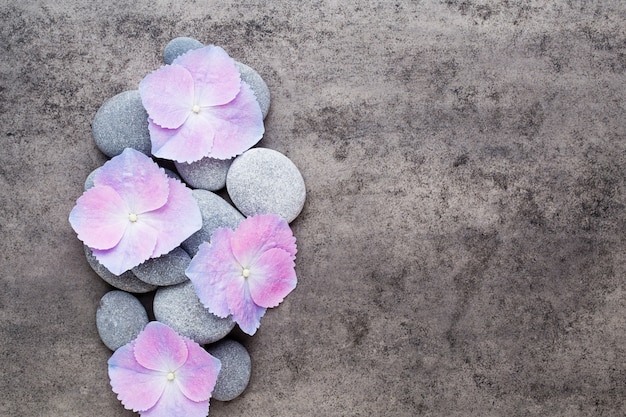 Fleurs de spa et pierre de massage sur fond gris