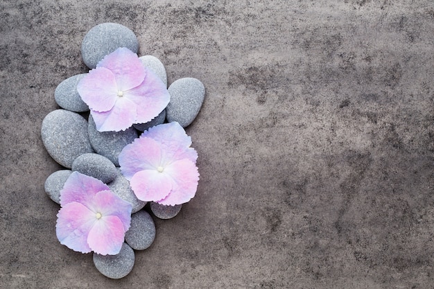 Fleurs de spa et pierre de massage sur fond gris
