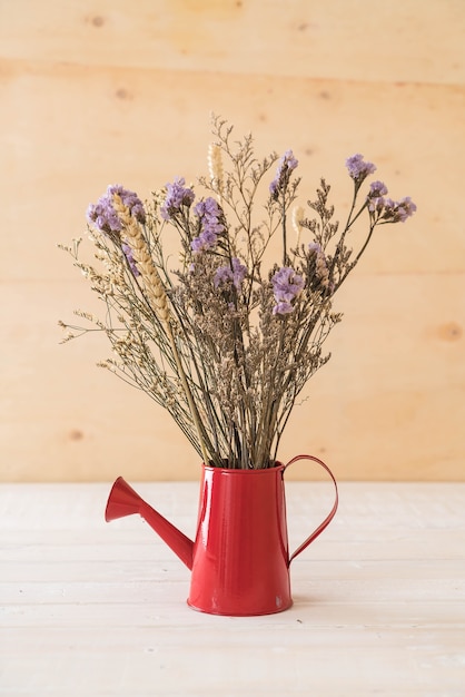 fleurs de statice et caspia