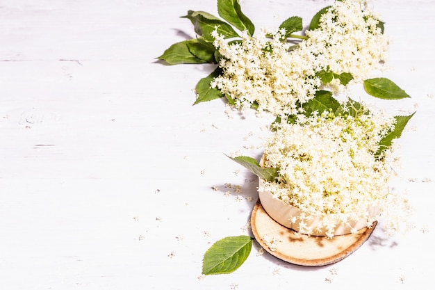 Fleurs de sureau frais. Ingrédient pour un concept d'alimentation saine. Lumière dure à la mode, ombre sombre. Vieux fond de planches de bois blanc, vue de dessus