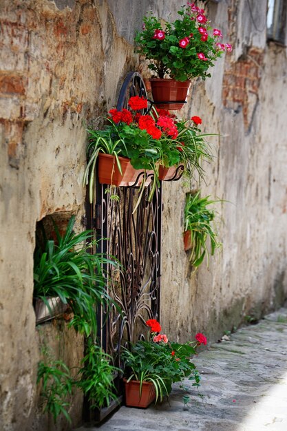 Fleurs sur la terrasse du restaurant