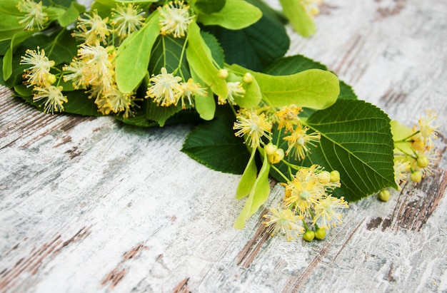 Fleurs de tilleul sur la table