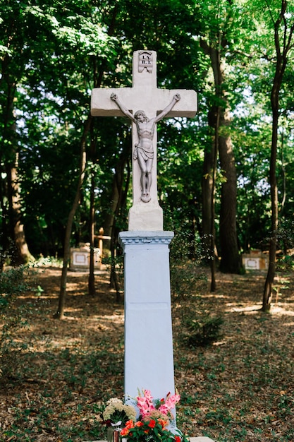 Fleurs sur les tombes, automne sur le cimetière, Prague, République tchèque, journée ensoleillée