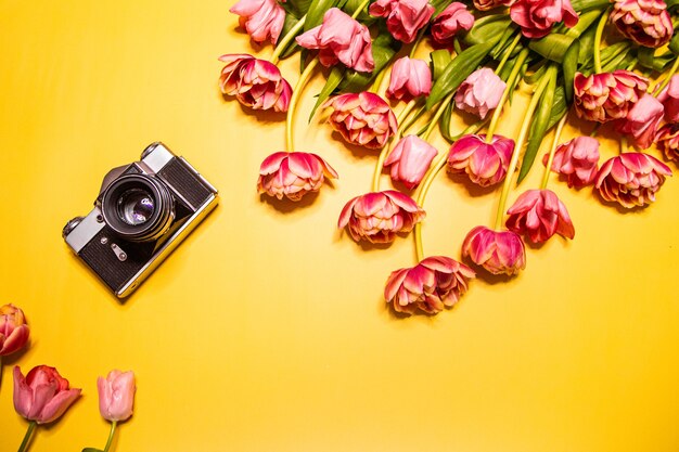 Fleurs de tulipe et appareil photo