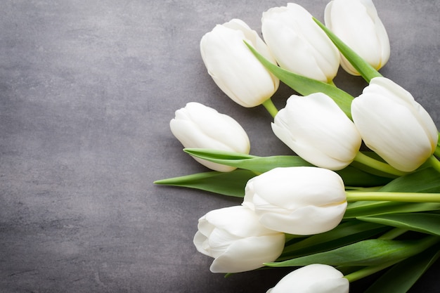 Fleurs tulipes blanches sur fond gris.