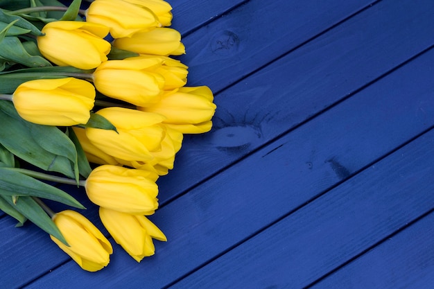 Fleurs de tulipes bleues sur fond en bois